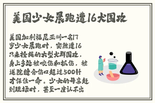 星空影院理伦片