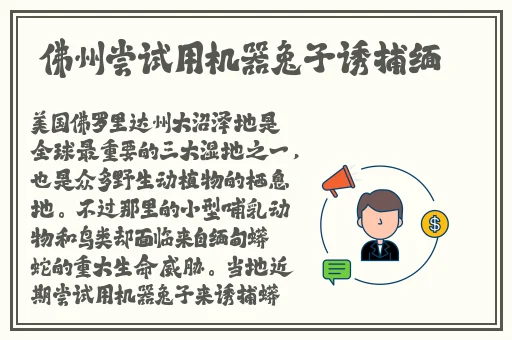 苏娅李文雯**闹元宵